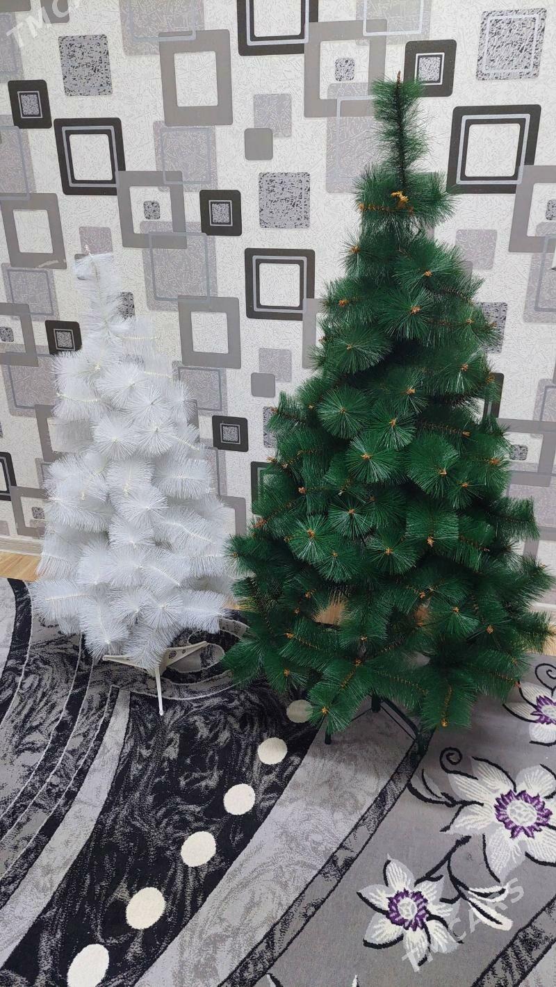 yolka - Balkanabat - img 1