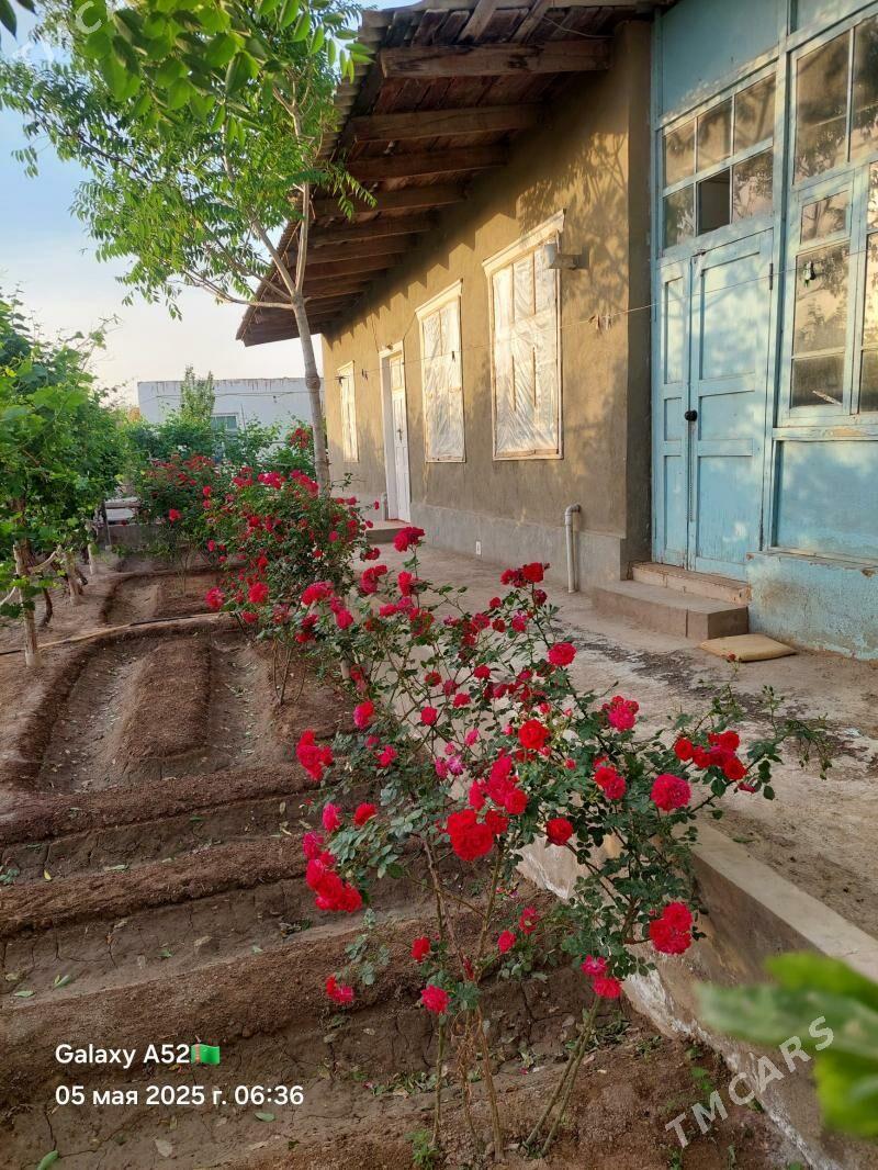 jay satlya - Губадаг - img 1