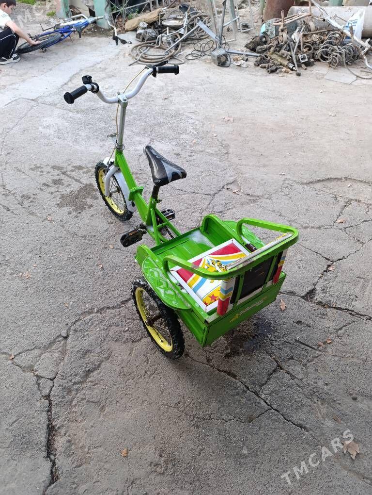 TIGIR WELOSEPET - Анев - img 1