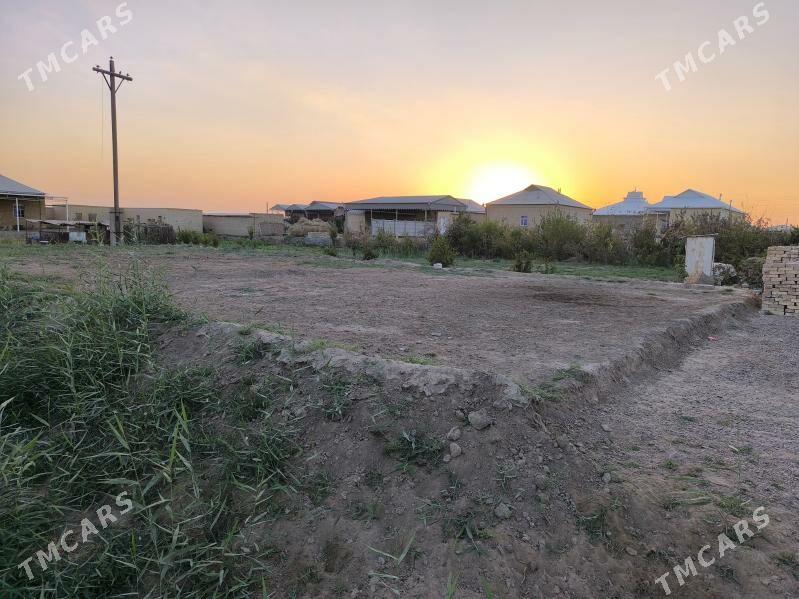 Mellek yer Mary saher - Mary - img 1