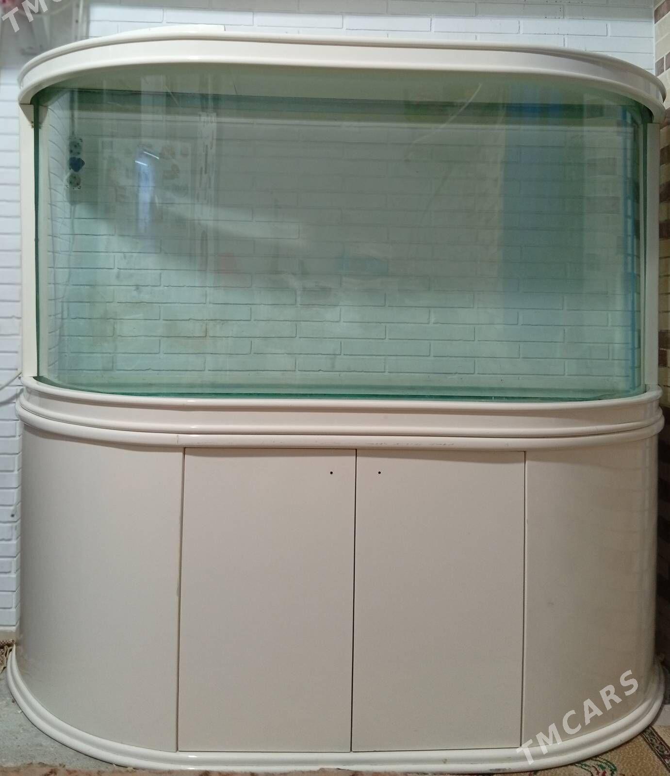 Akwarium Аквариум 500литров - Aşgabat - img 1