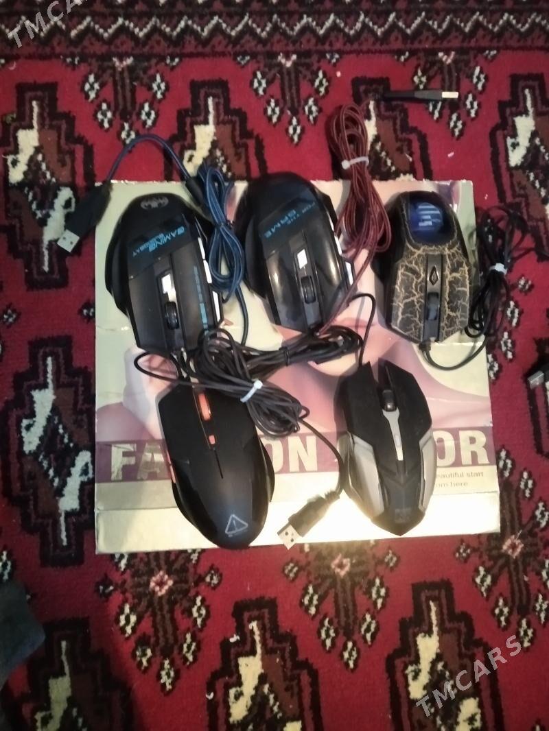 sycanjyk myskanat - Baýramaly - img 1