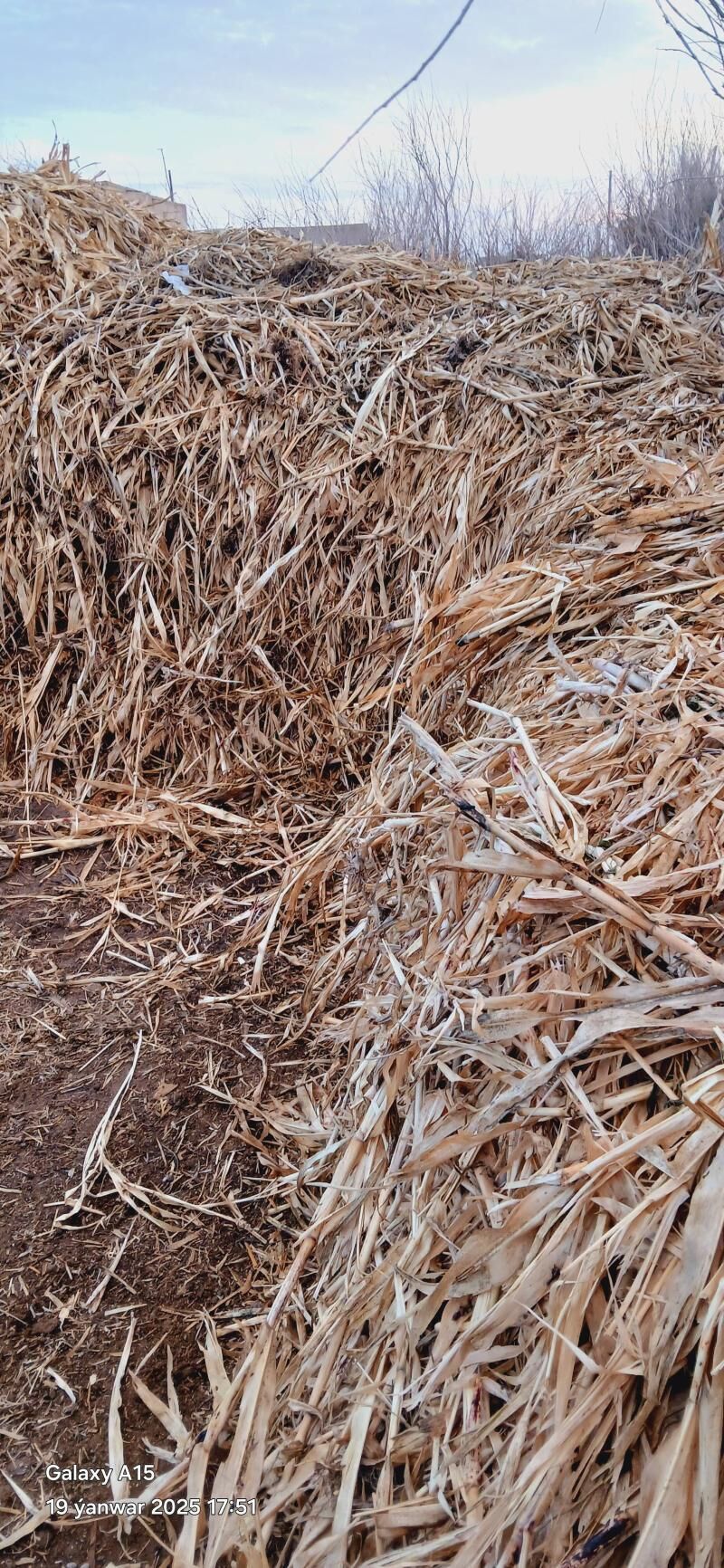 mal ot - Ruhubelent etraby - img 1