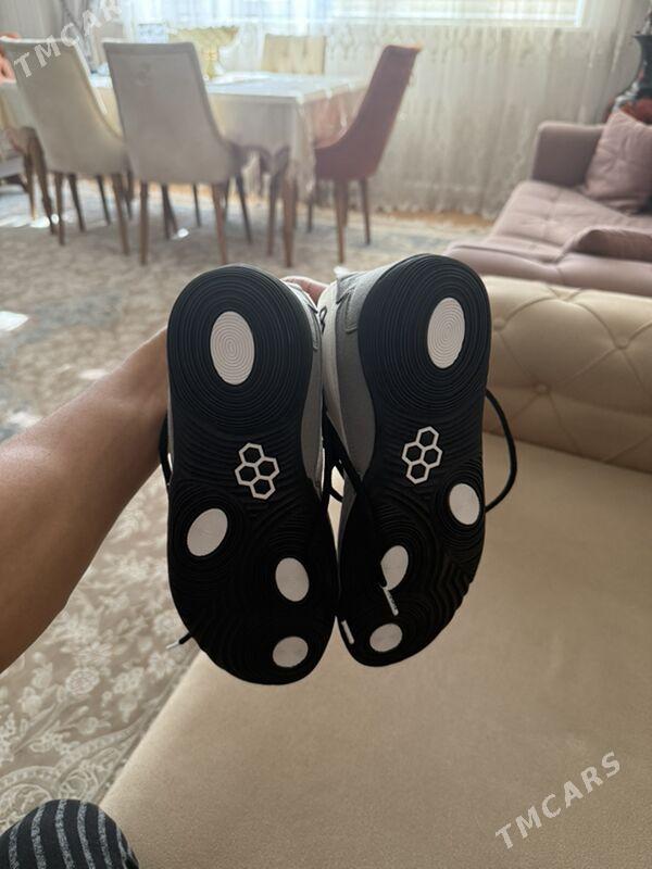 barsofka rudis - Ашхабад - img 1