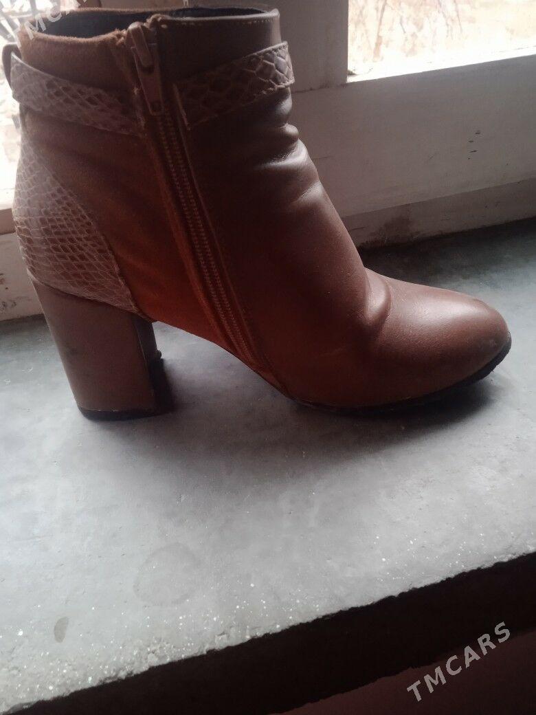 adik - Daşoguz - img 1