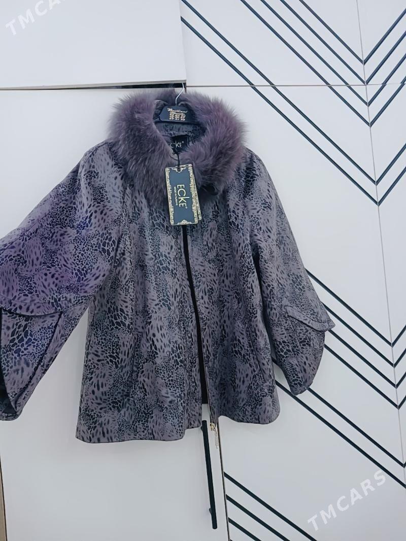 palto - Änew - img 1