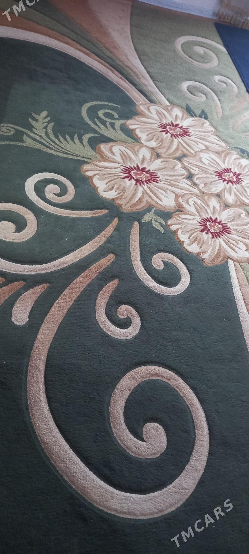 Haly - Jebel - img 1