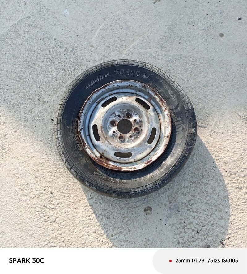 diska 100 TMT - Анев - img 1