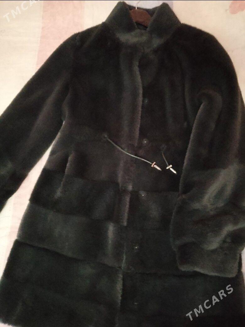 şuba - Daşoguz - img 1