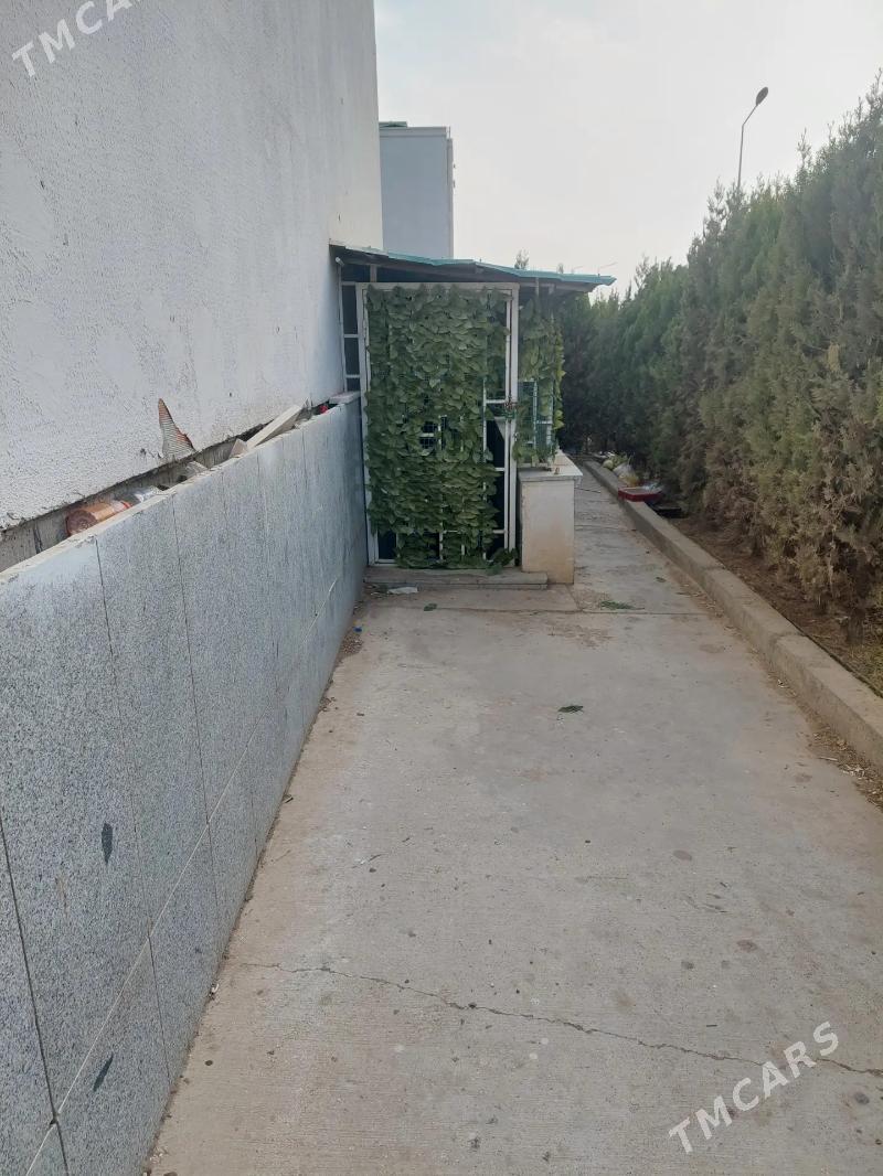 arenda podwal - Мир 8 - img 1