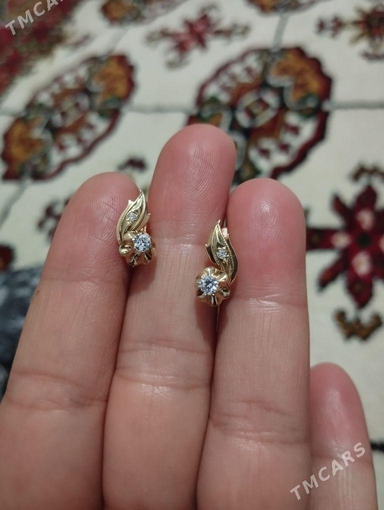 gyzyl gulakhalka - Büzmeýin - img 1