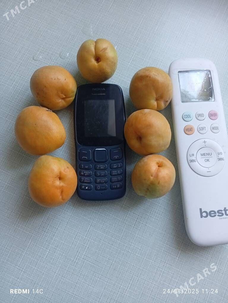 Armyt we erik nahal - Векильбазар - img 1