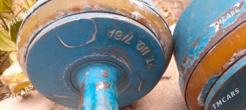 Gantel/Гантель - 30 mkr - img 1