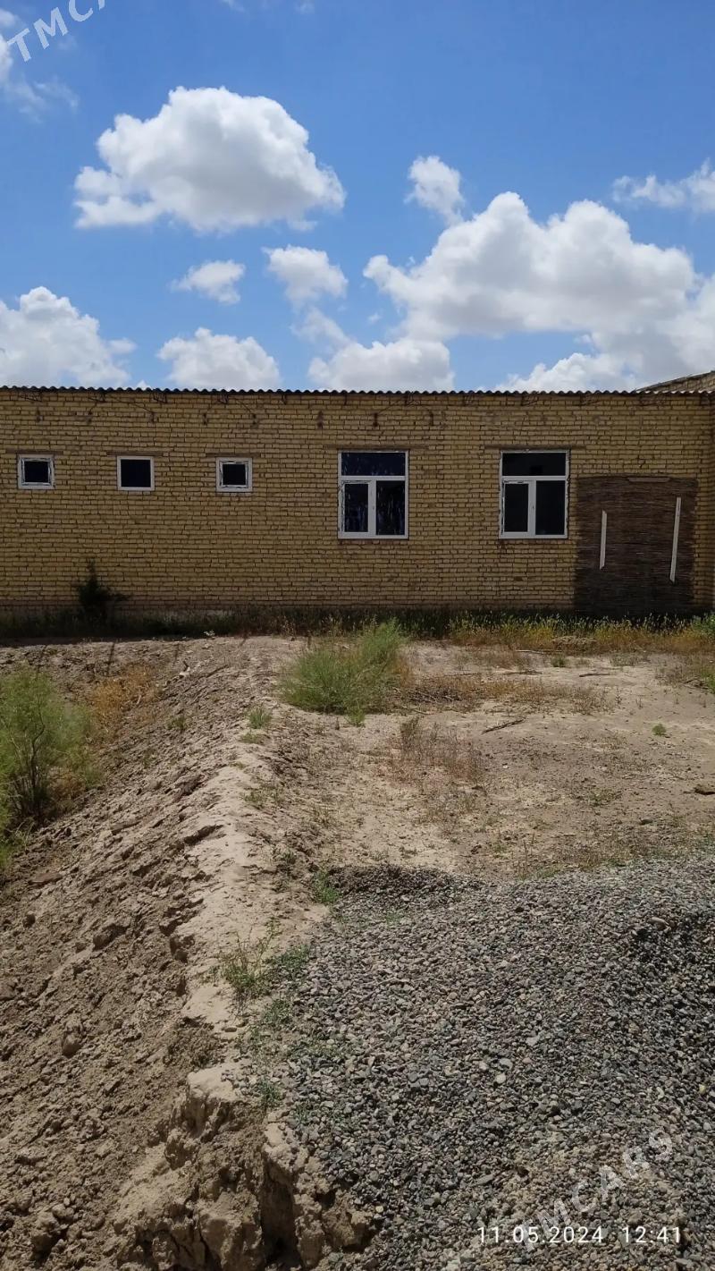 Sayat col mellek - Saýat - img 1