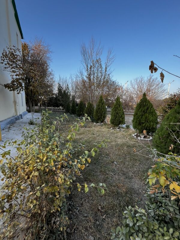 İpoteka 1 etaj 3 Kmnt - 6 mkr - img 1