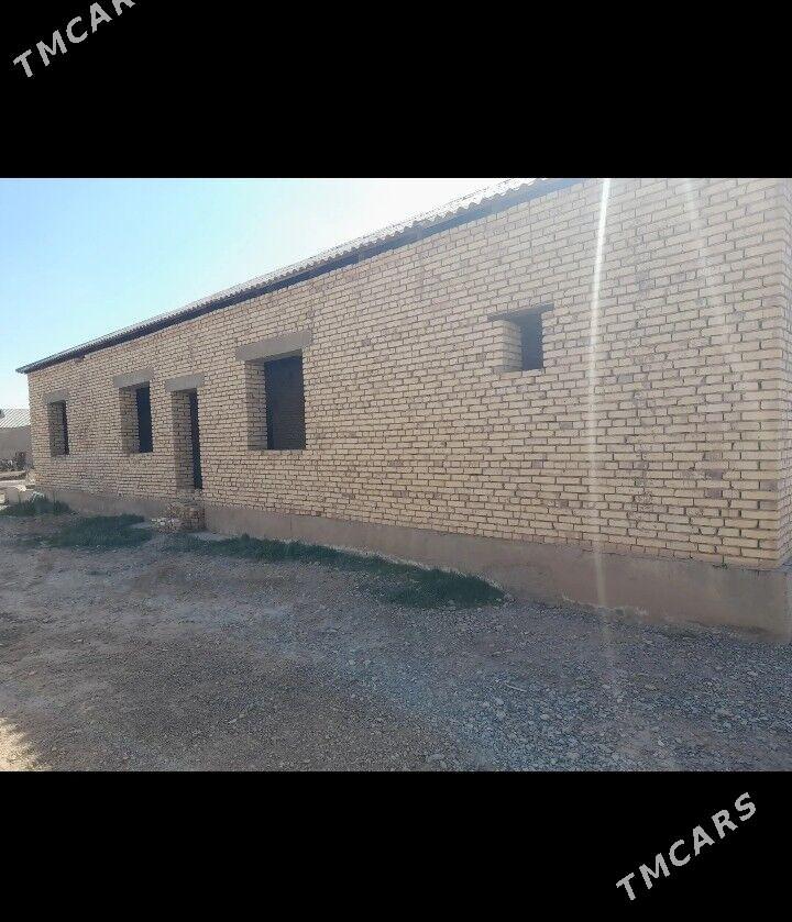 satlyk jay - Tejen - img 1