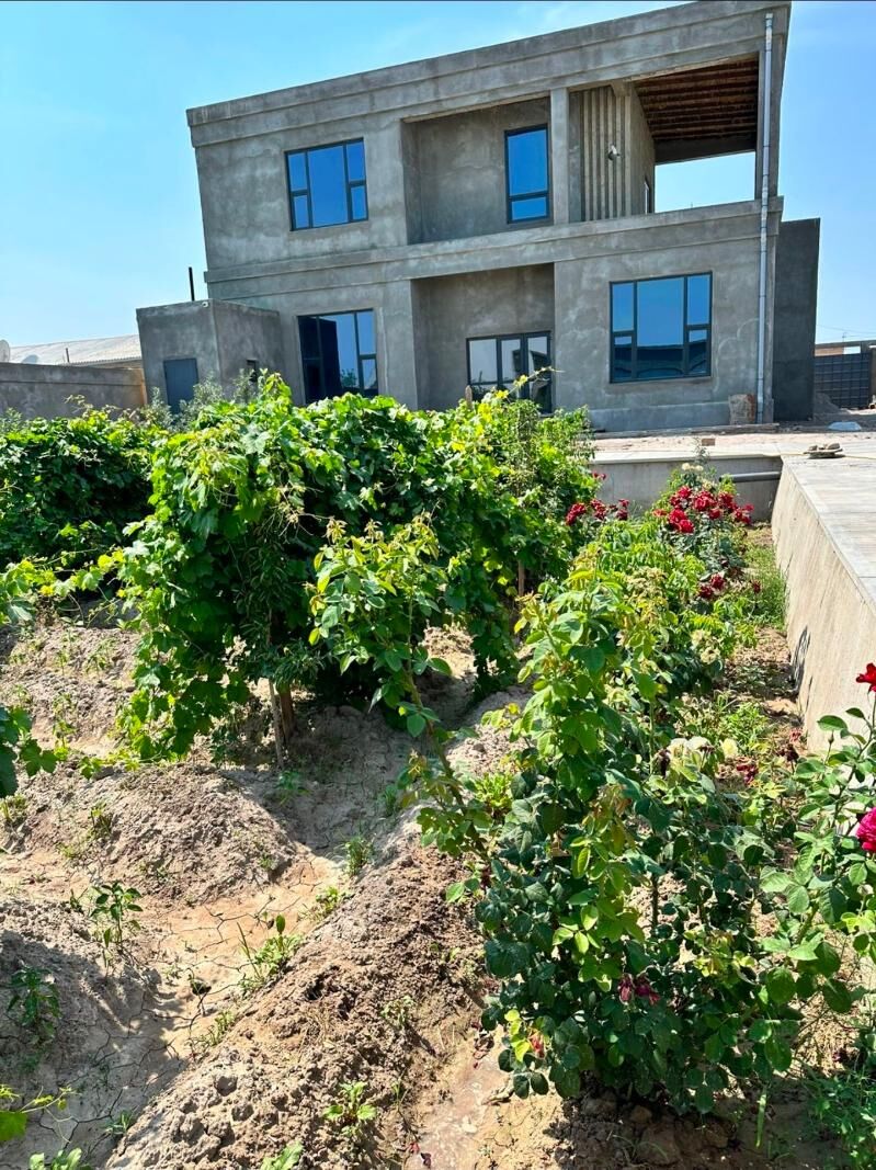 Киров Рухыет кошки 16сот 5ком - Дашогуз - img 1