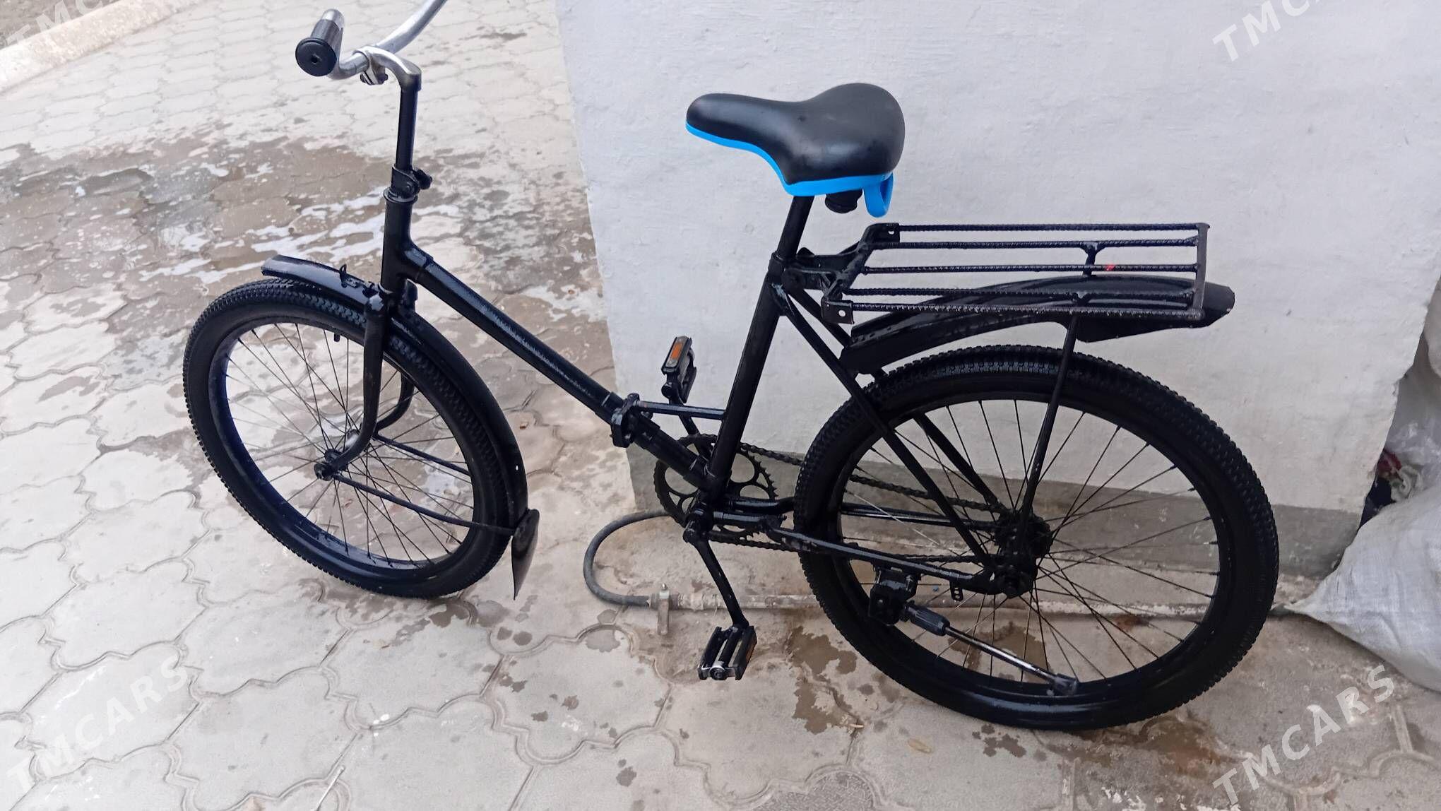 tigir - Bekrewe - img 1