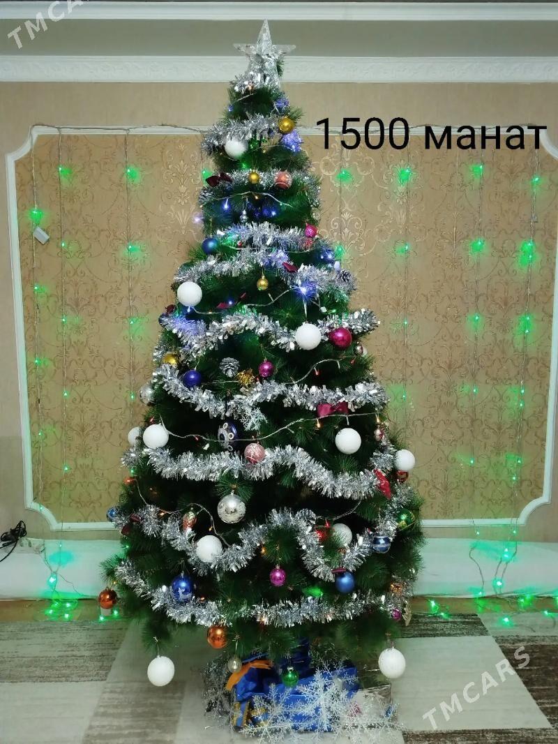 Елка/Yolka - Анев - img 1