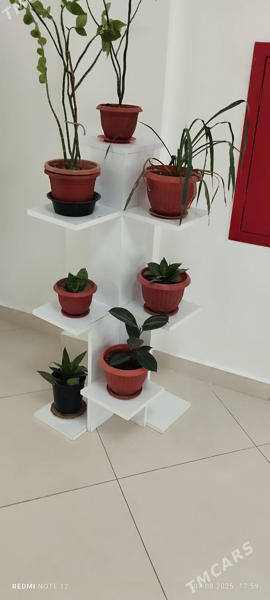 Gül goyulyan mebel - Gökdepe - img 1