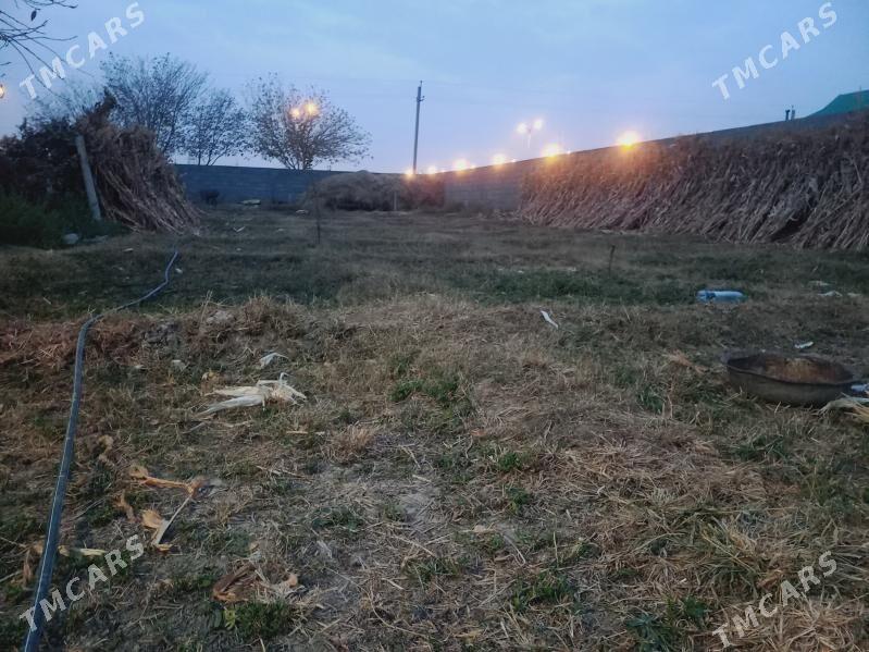 mellek yer - Бузмеин - img 1