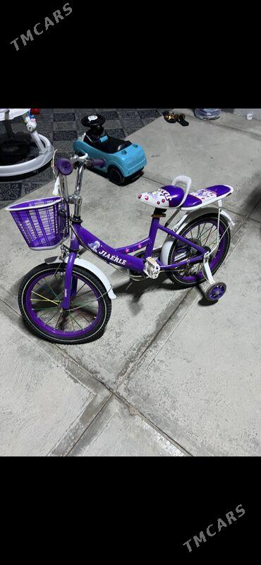 Tigir - Чоганлы - img 1