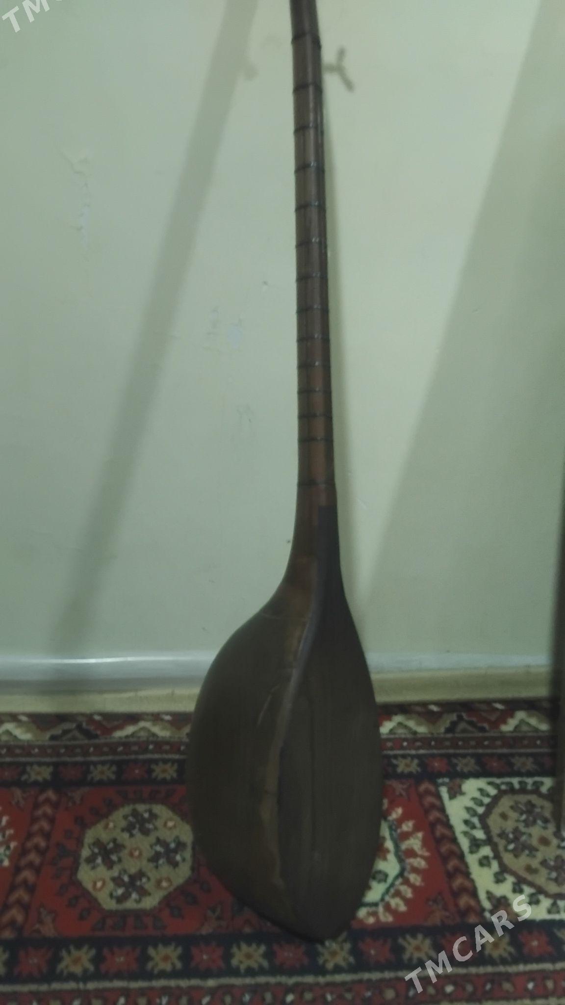 Dutar gadym - Анев - img 1