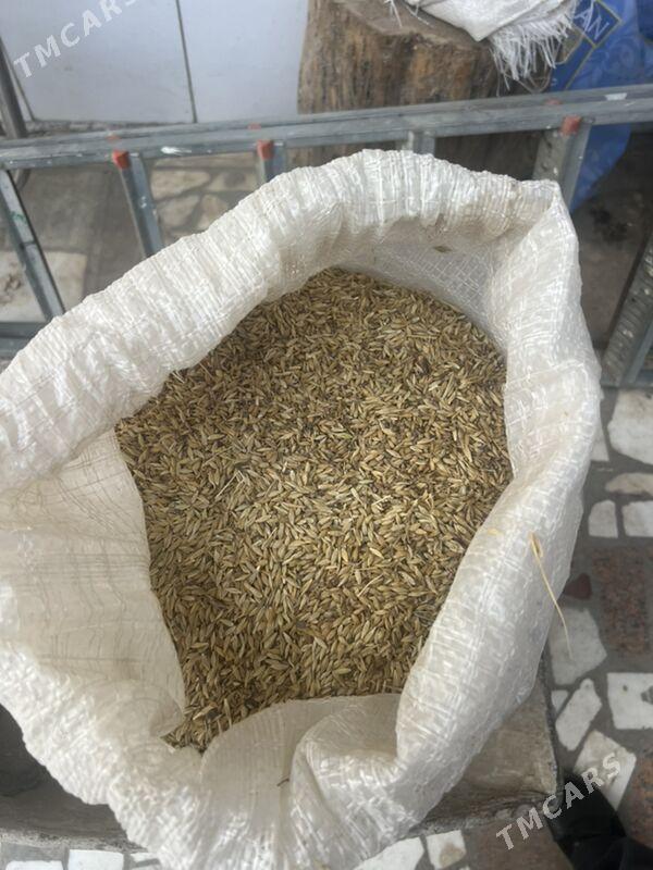 ARPA - Ашхабад - img 1