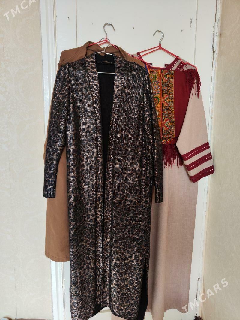 Shempir - Türkmenbaşy - img 1