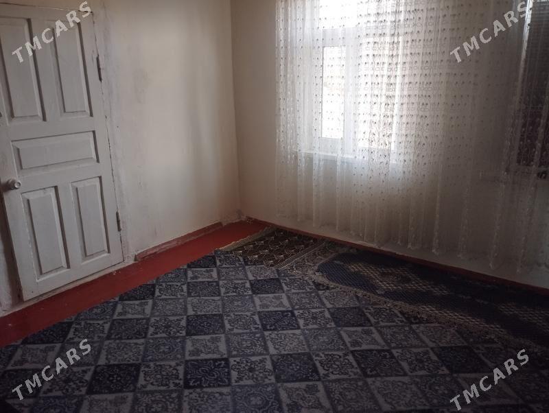 Satlyk jay - Jebel - img 1