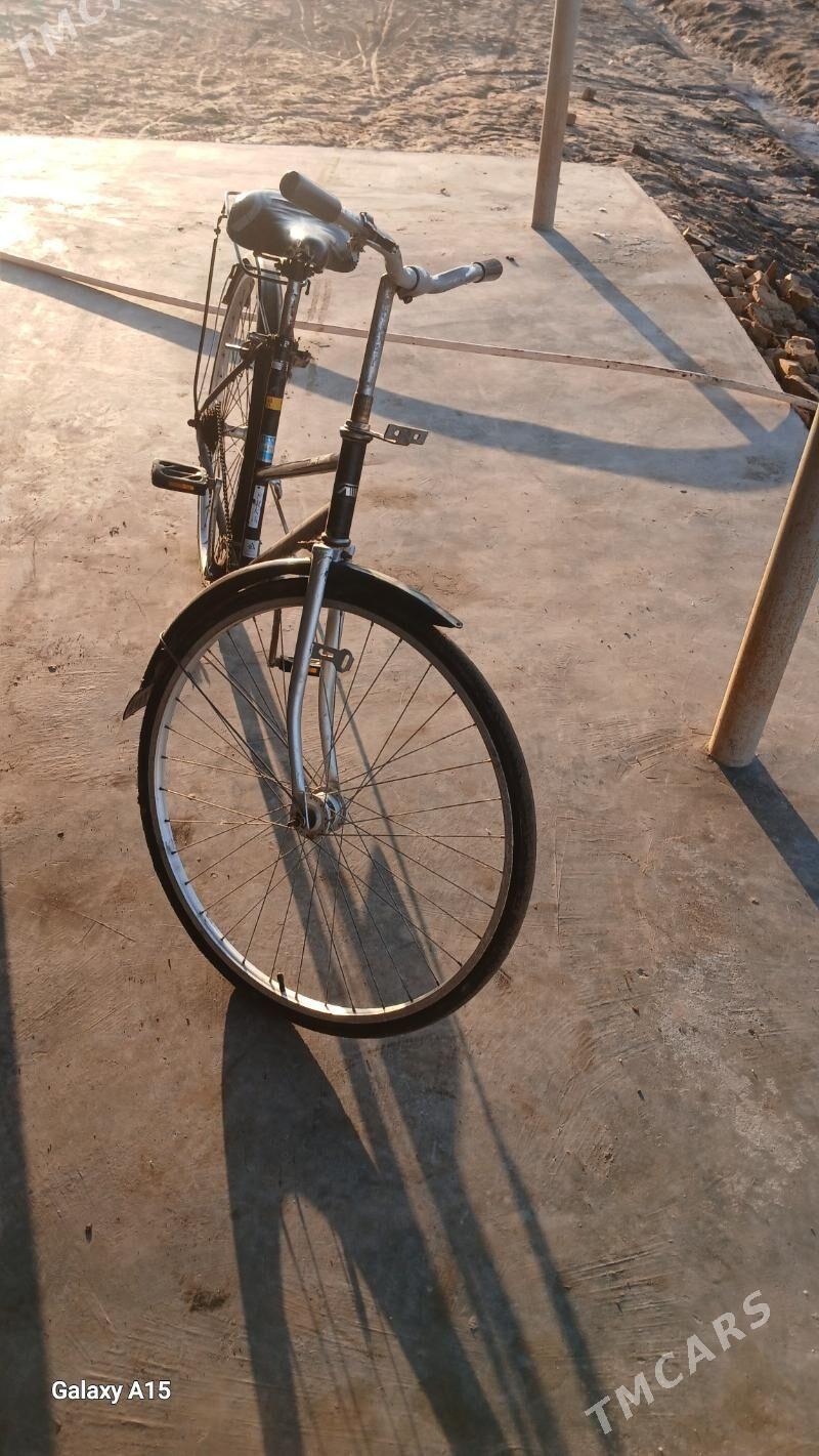 Tiger - Köneürgenç - img 1