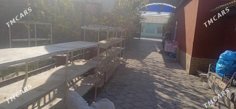 polkalar - Кëши - img 1