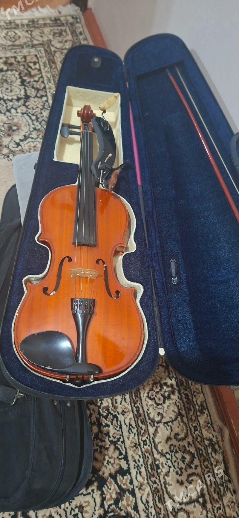 skripka - Туркменабат - img 1