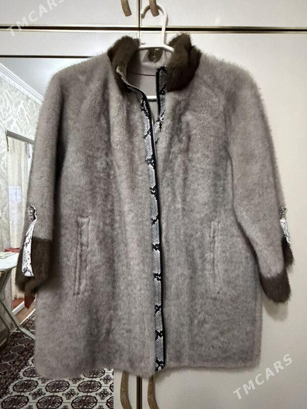 Šuba - Aşgabat - img 1