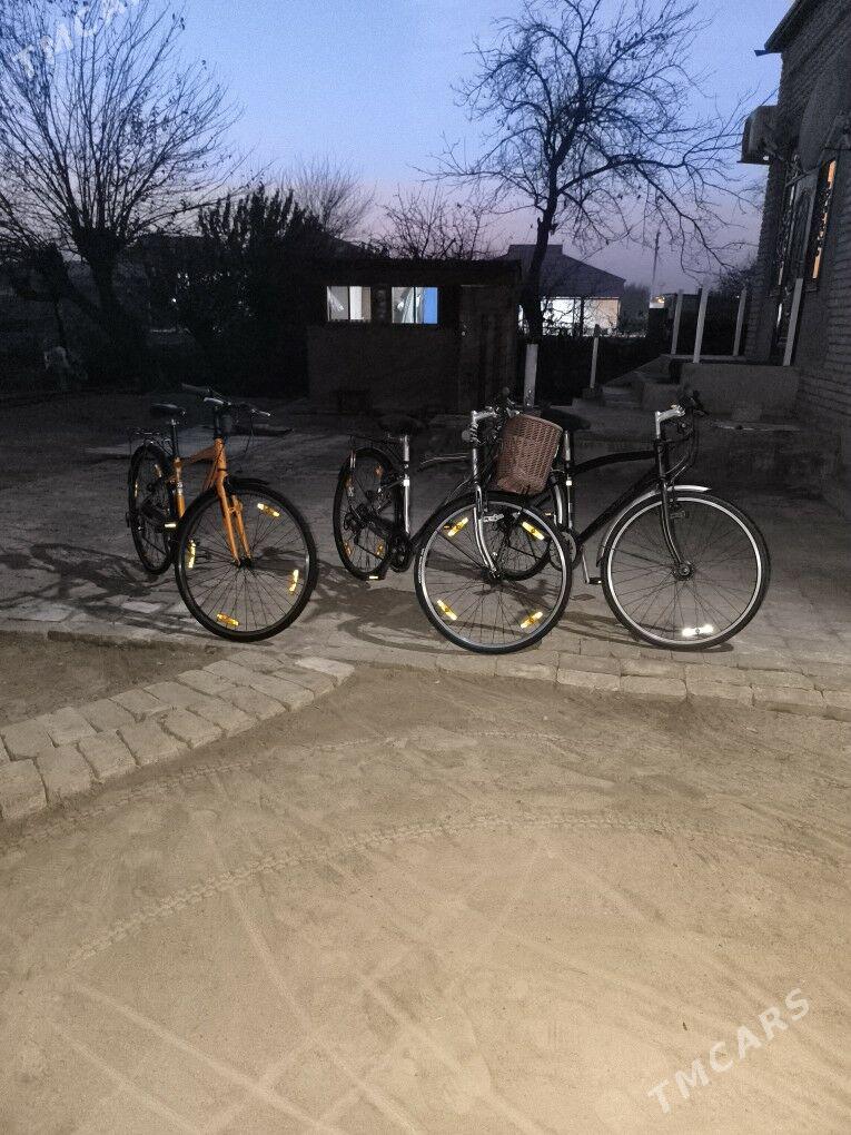 Welosepid - Baýramaly - img 1