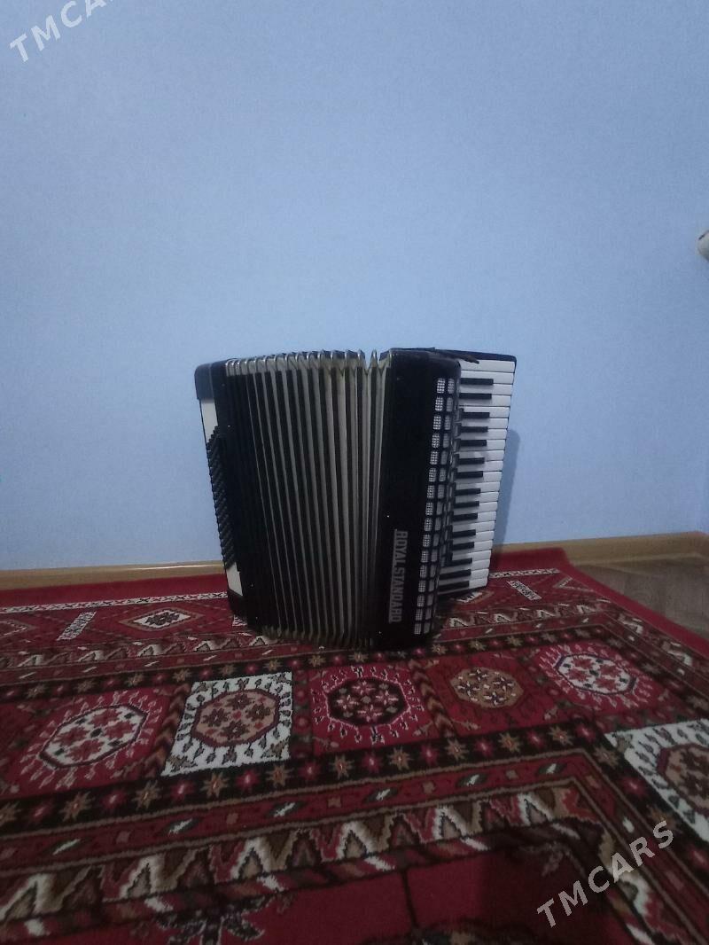 Akkordeon - Дашогуз - img 1