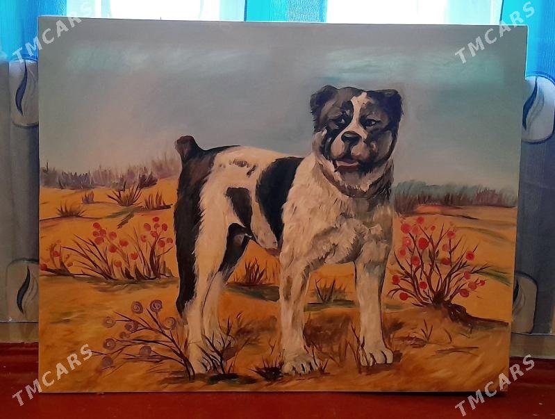 Alabaý gar göz - Хитровка - img 1