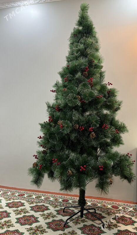 yolka - Daşoguz - img 1