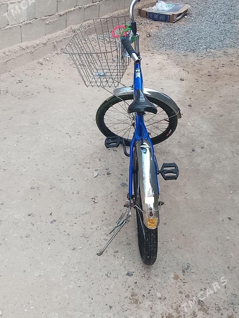 Tigir - Анев - img 1