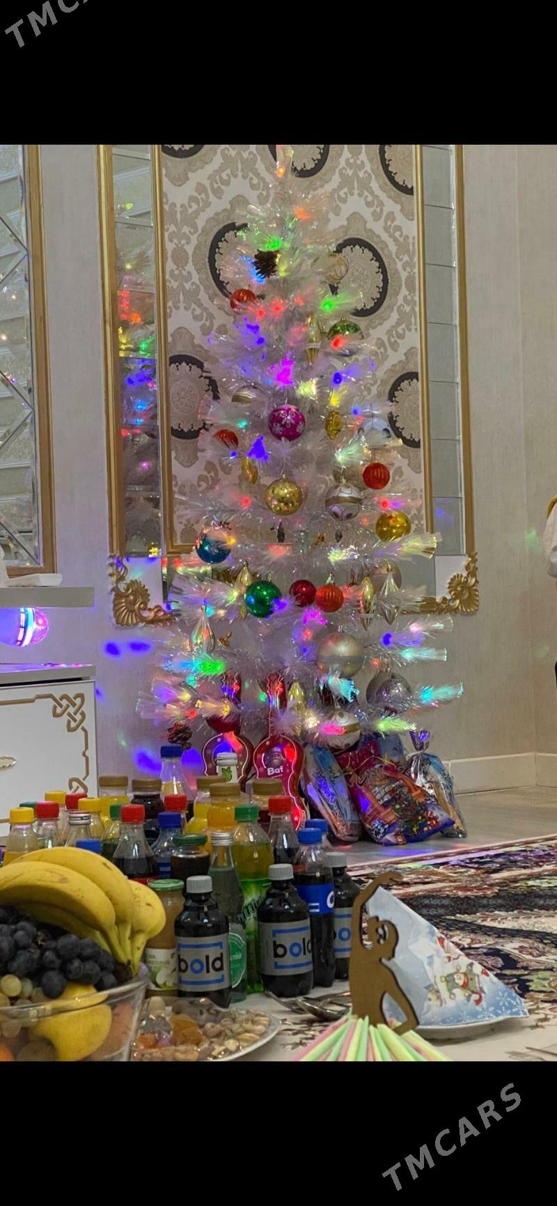 AK YOLKA SATLYK - Mary - img 1