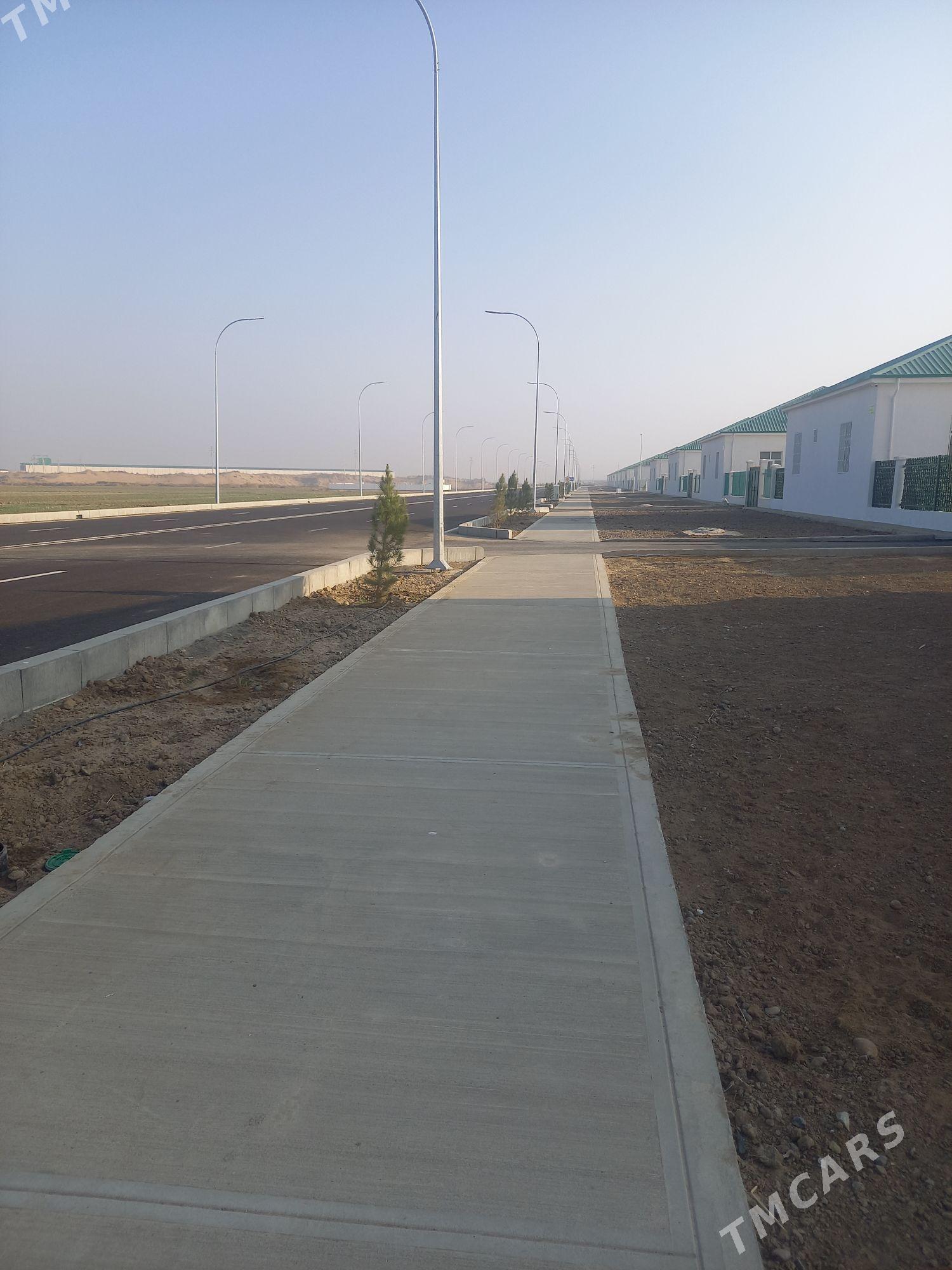 Köpetdagyň yalkymy - Гёкдепе - img 1