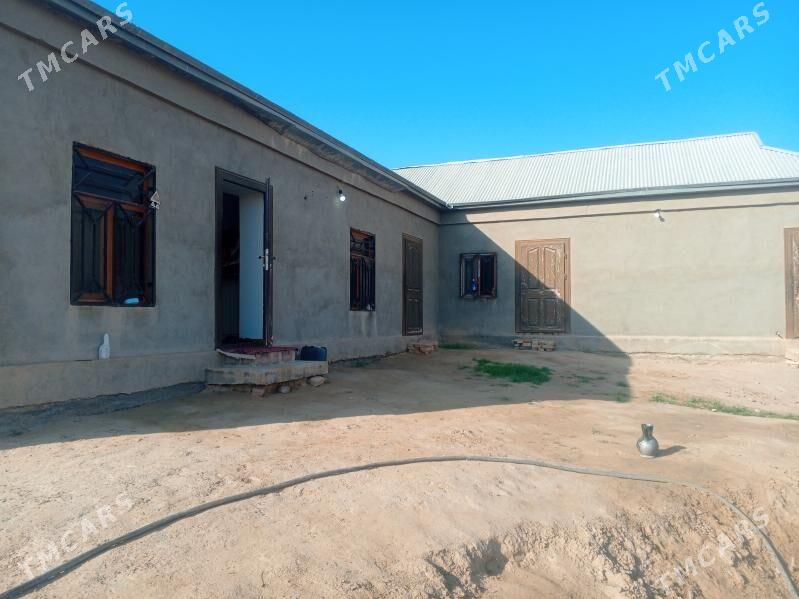 daca. 12stk. - Mary - img 1