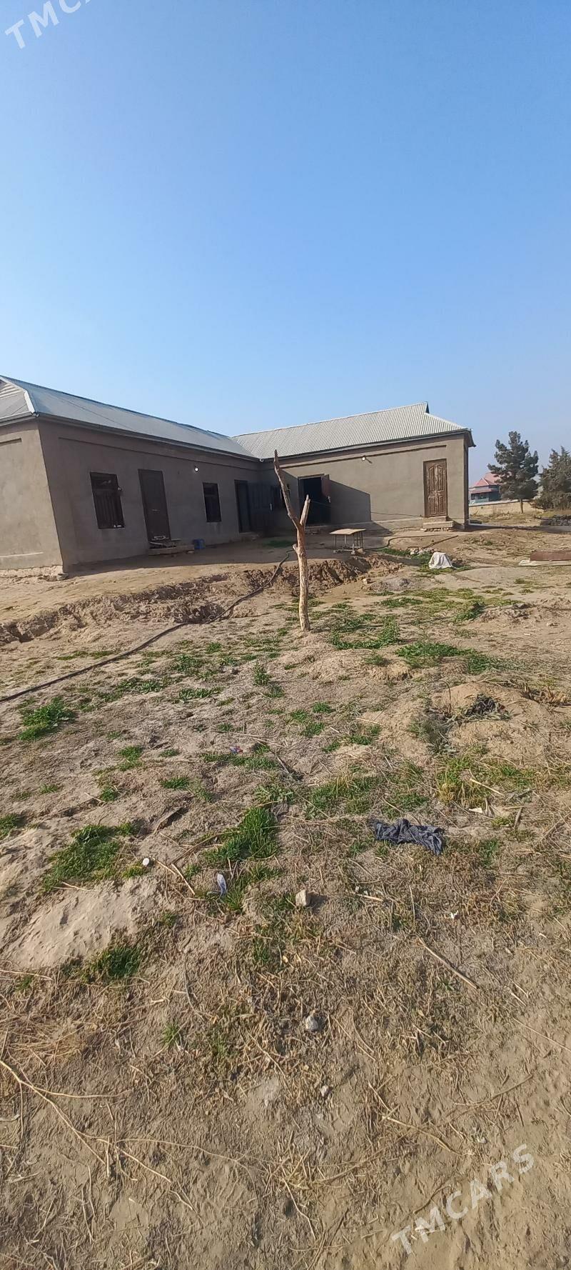 satlyk daca - Мары - img 1