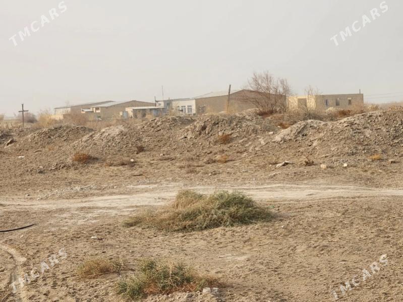 mellek - Türkmenabat - img 1