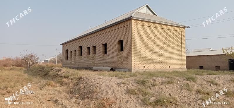 Jay Satlyk - Mary - img 1