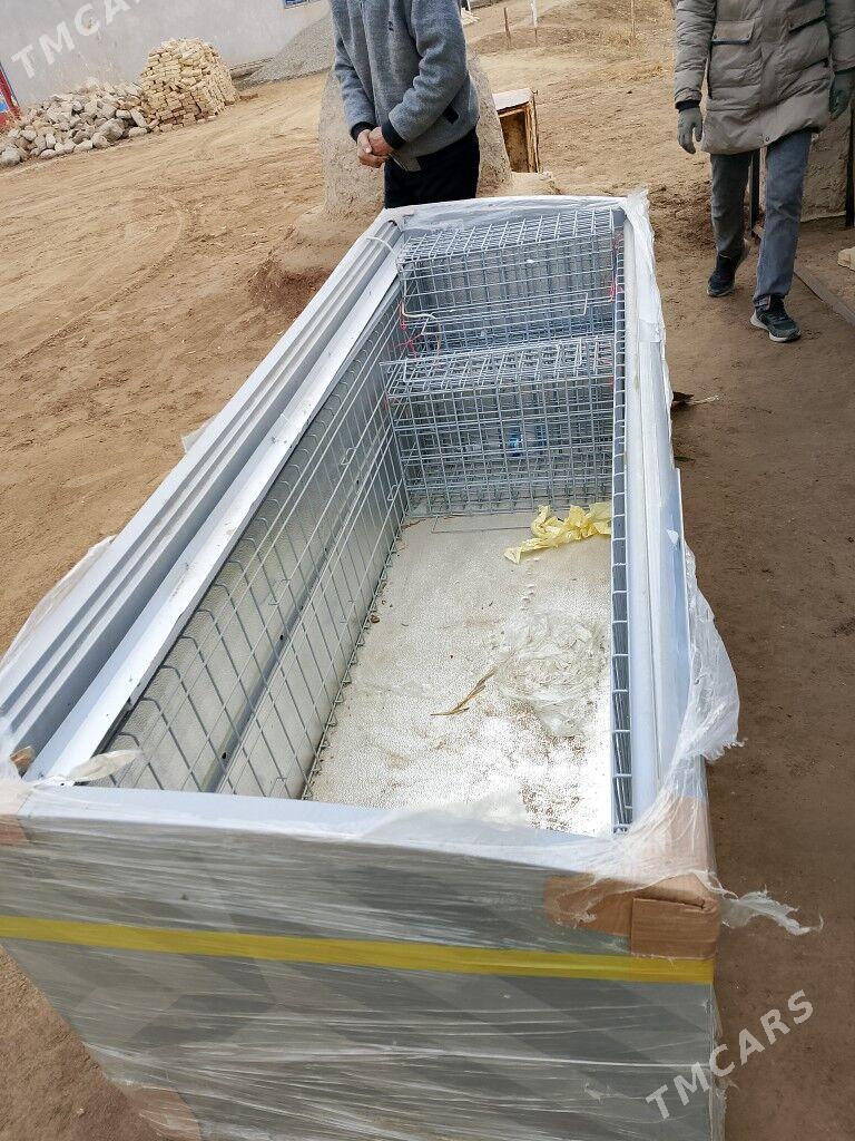 маразилник - Gurbansoltan Eje - img 1