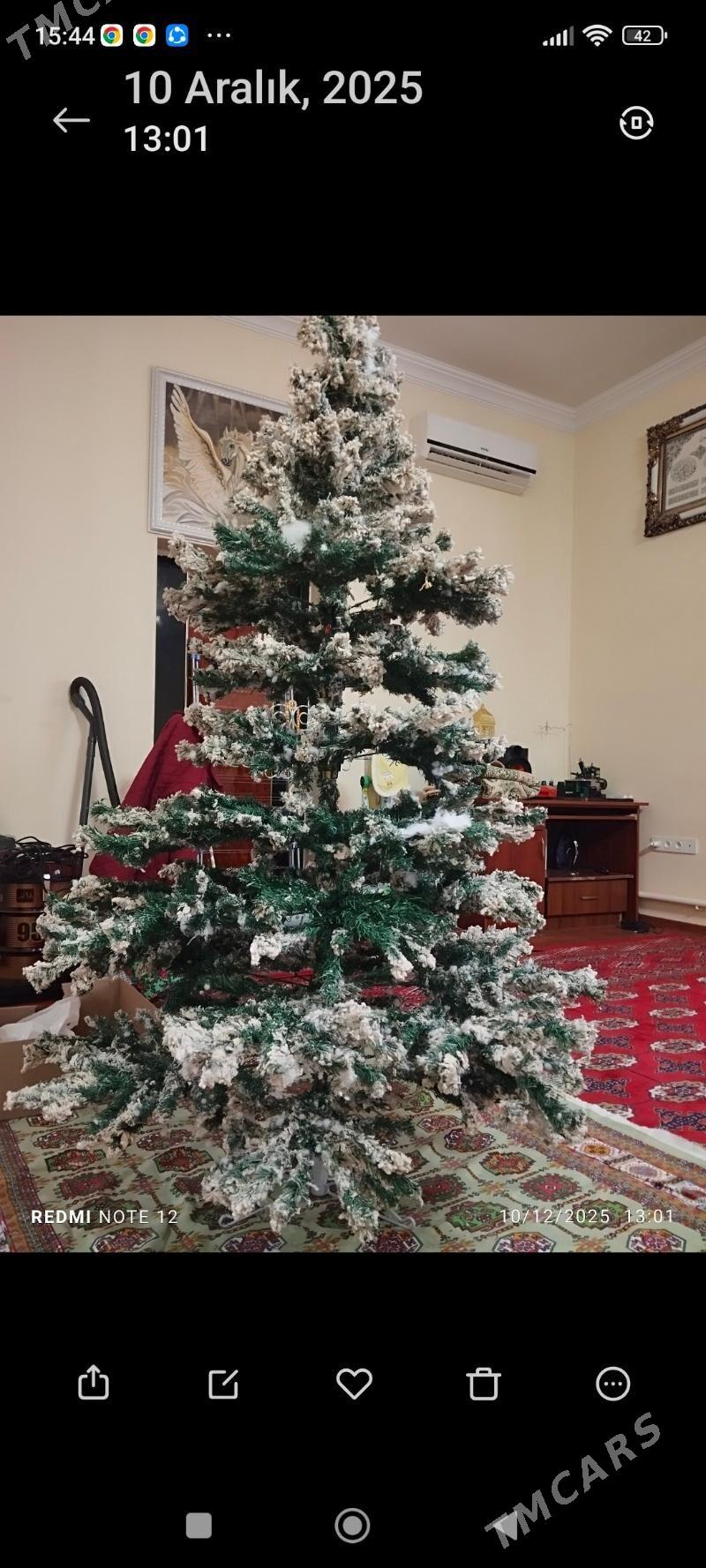 Yolka - Bagyr - img 1