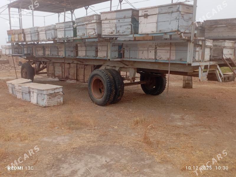 ary pirissep - Mary - img 1