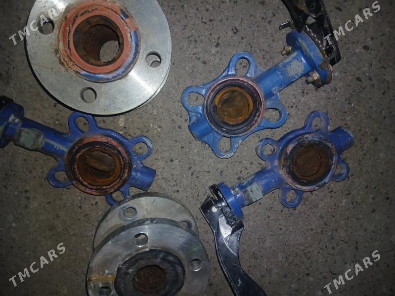 zadiwişka - Ak bugdaý etraby - img 1