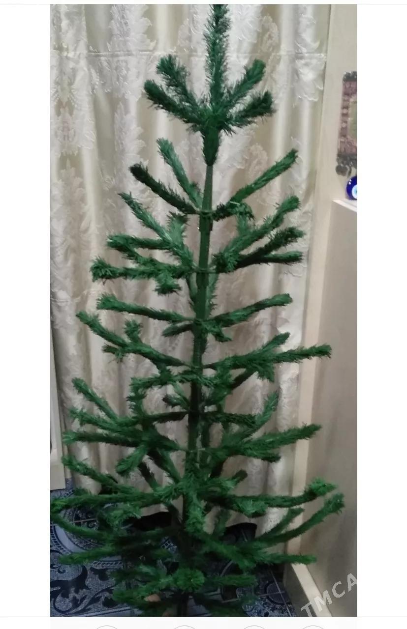 karziny i elka - Ашхабад - img 1